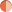 dual-tone orange